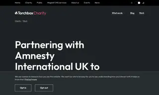Preview of the Amnesty International UK Case Study