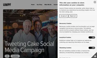Preview of the Belling Case Study