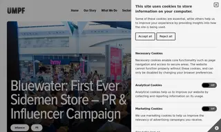 Preview of the Bluewater Case Study