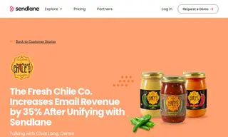 Preview of the The Fresh Chile Co Case Study