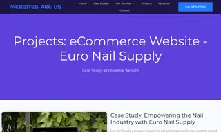 Preview of the Euro Nail Supply Case Study