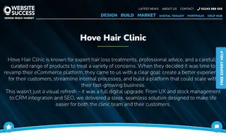 Preview of the Hove Hair Clinic Case Study