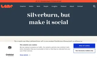 Preview of the Silverburn Case Study