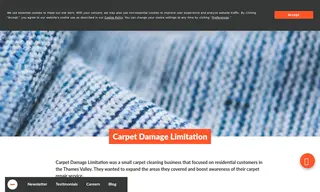 Preview of the Carpet Damage Limitation Case Study