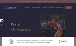 Preview of the Welsh Gymnastics Case Study