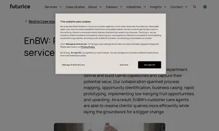 Preview of the EnBW Case Study