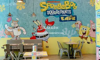 Preview of the Primark Case Study