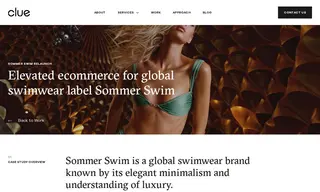 Preview of the Sommer Swim Case Study