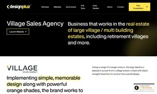 Preview of the Village Sales Agency Case Study