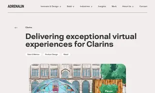 Preview of the Clarins Case Study