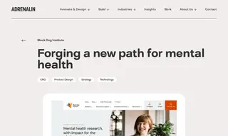 Preview of the Black Dog Institute Case Study