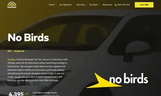 Preview of the No Birds Case Study