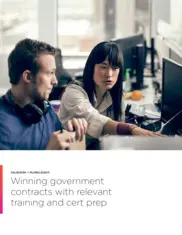 Preview of the ValidaTek Case Study
