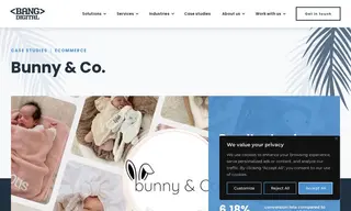Preview of the Bunny & Co Case Study