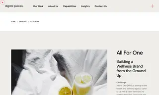 Preview of the All for One (afo) Case Study