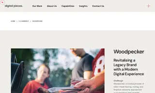 Preview of the Woodpecker Case Study