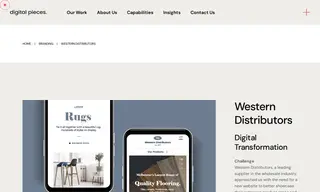 Preview of the Western Distributors Case Study
