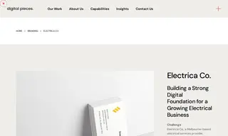 Preview of the Electrica Co Case Study