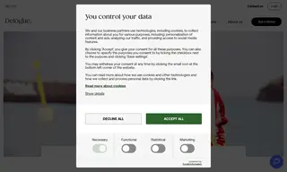 Preview of the Mini Rodini Case Study