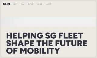 Preview of the SG Fleet Case Study