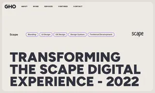 Preview of the Scape Case Study