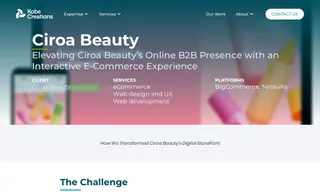 Preview of the Ciroa Beauty Case Study