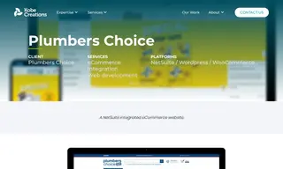 Preview of the Plumbers Choice Case Study