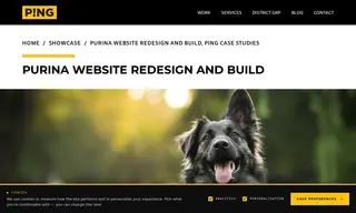 Preview of the Purina Case Study