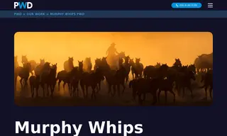 Preview of the Murphy Whips Case Study