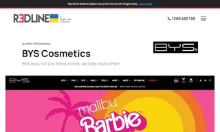 Preview of the BYS Cosmetics Case Study