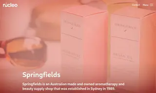 Preview of the Springfields Case Study