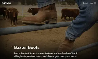 Preview of the Baxter Boots & Shoes Case Study