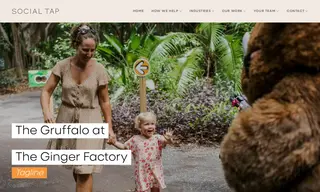 Preview of the The Ginger Factory Case Study