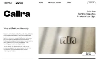 Preview of the Calira Case Study