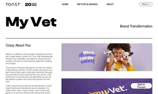 Preview of the MyVet Case Study