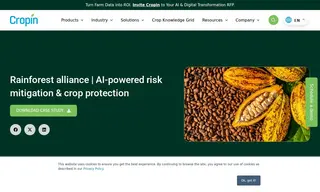 Preview of the Rainforest Alliance Case Study