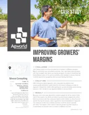 Preview of the Silvera Consulting Case Study