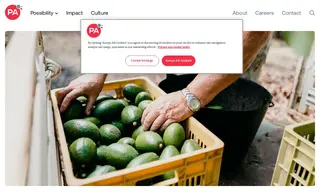 Preview of the Avocados From Mexico Case Study