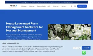 Preview of the Nesso Case Study