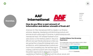 Preview of the American Air Filter International (aaf) Case Study
