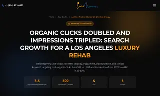 Preview of the iRely Recovery Case Study