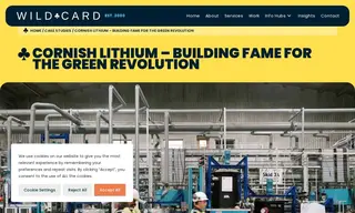 Preview of the Cornish Lithium Case Study