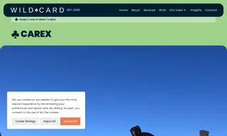 Preview of the Carex Case Study