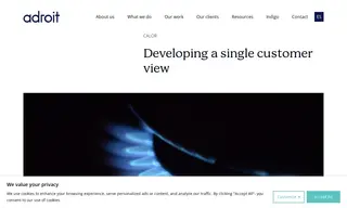 Preview of the Calor Case Study