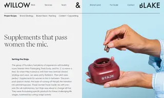 Preview of the Staje Case Study