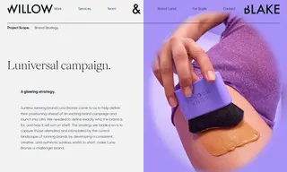 Preview of the Luna Bronze Case Study