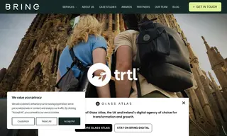 Preview of the Trtl Case Study