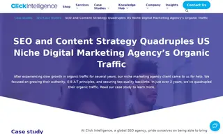 Preview of the Niche Digital Marketing Agency Case Study