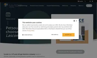 Preview of the Scoular Case Study