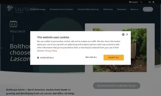 Preview of the Bolthouse Farms Case Study